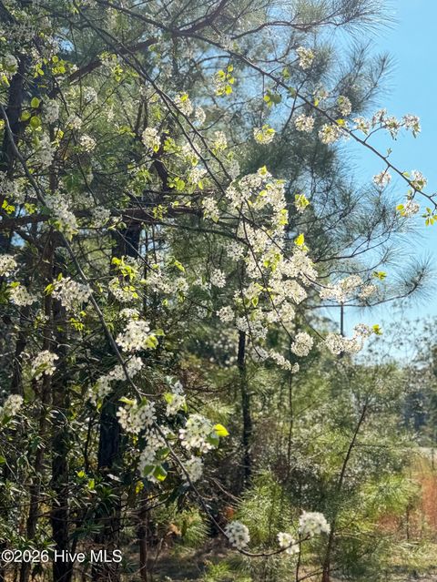 Tiny photo for 14 Brickyard Road, Hampstead, NC 28443 (MLS # 100559861)