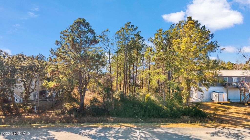 Photo of 4 Watts Landing Rd Road, Hampstead, NC 28443 (MLS # 100483189)