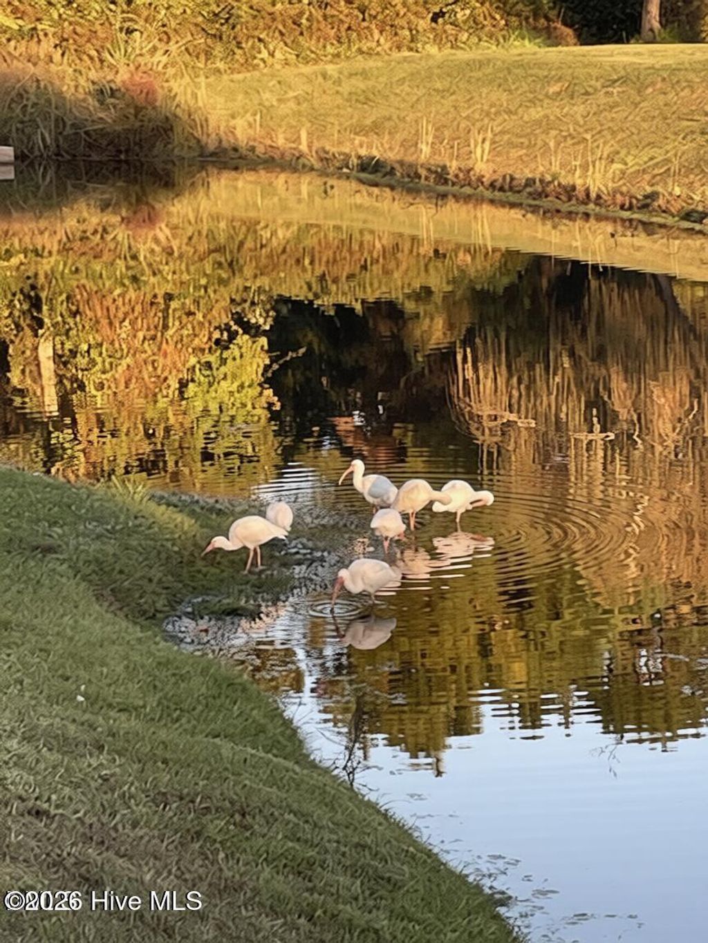 Photo of 5203 Windward Way, Southport, NC 28461 (MLS # 100560600)