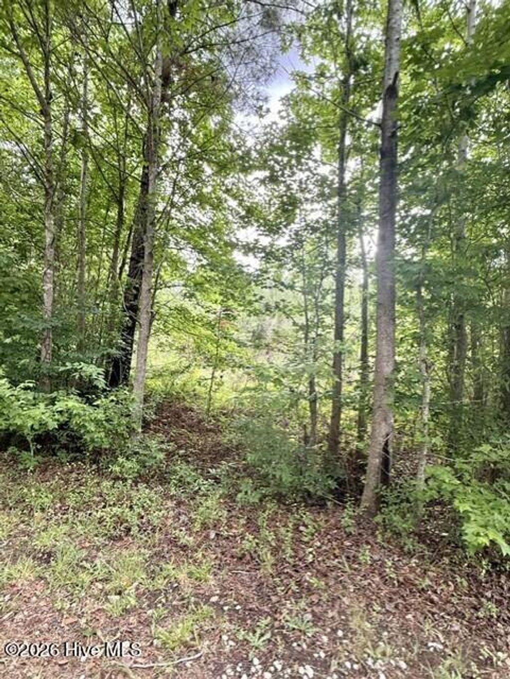 Photo of 1537 Joy Road, Harlem, GA 30814 (MLS # 100576597)