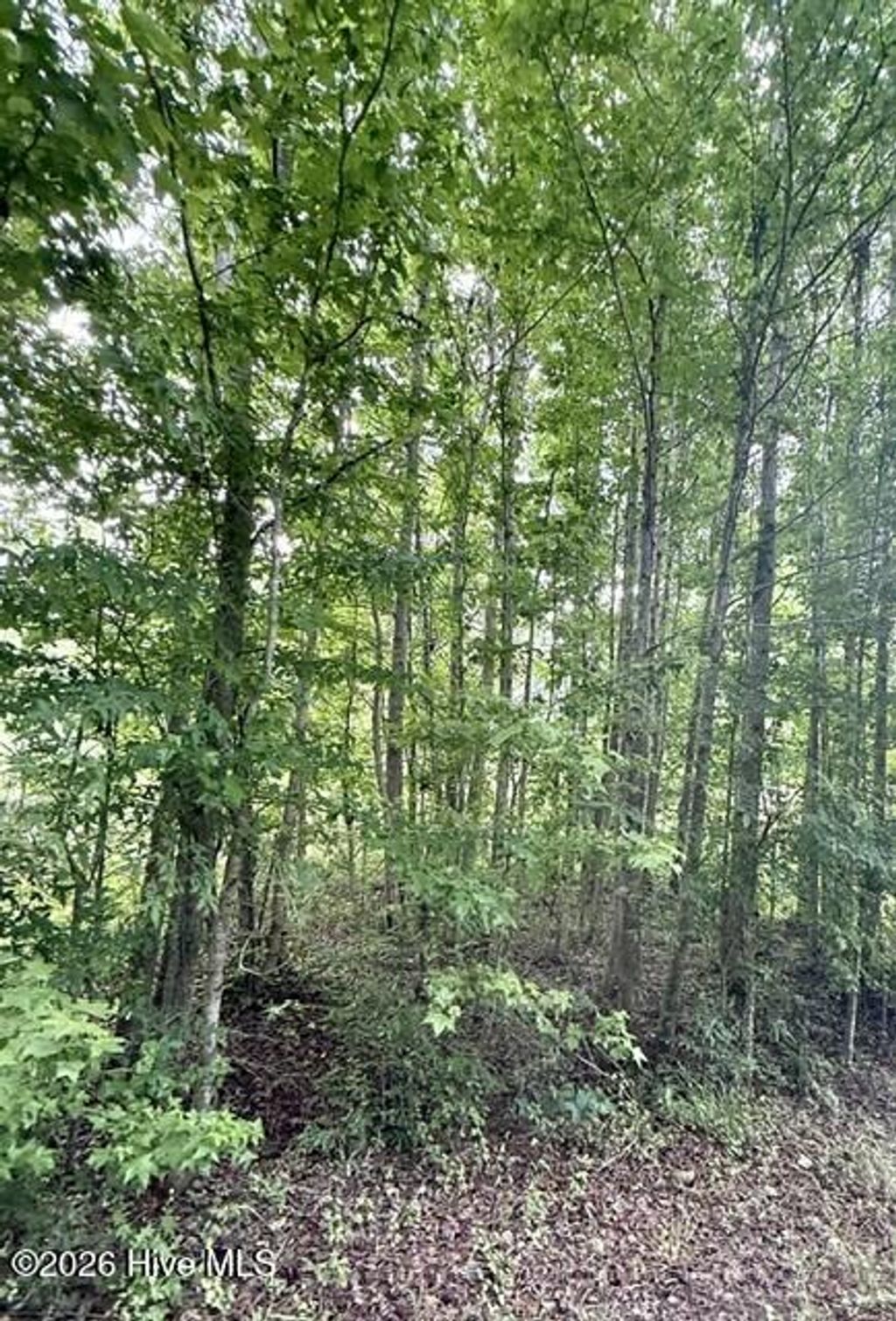 Photo of 1537 Joy Road, Harlem, GA 30814 (MLS # 100576597)
