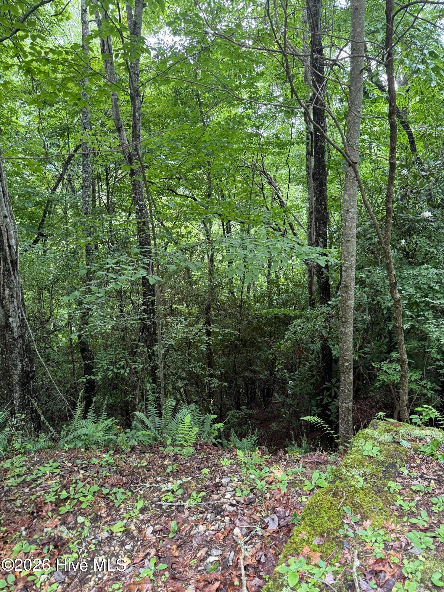 Lot 4 4 Mountain Vista Lane