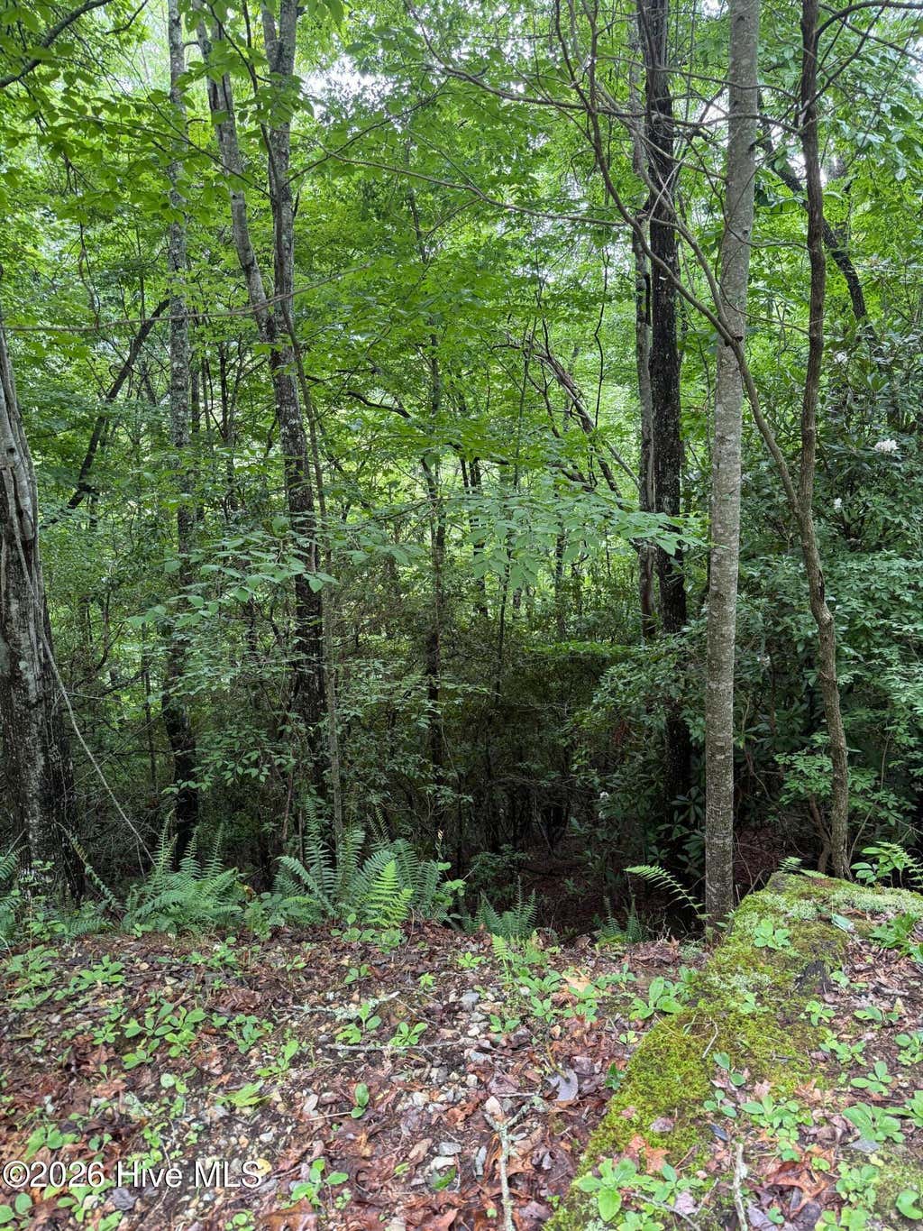 Photo of 4 Mountain Vista Lane, Topton, NC 28781 (MLS # 100593355)