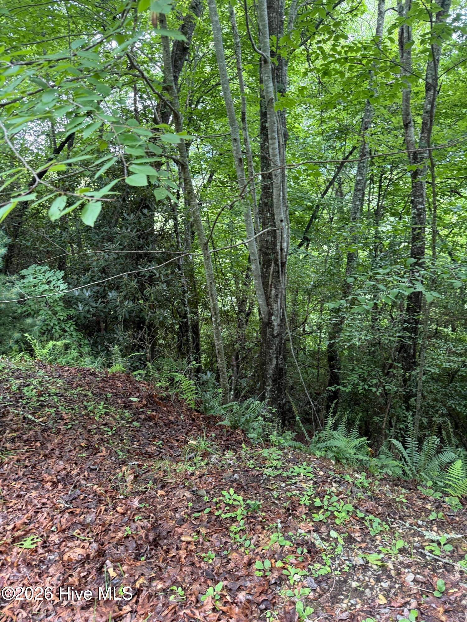 Lot 4 4 Mountain Vista Lane