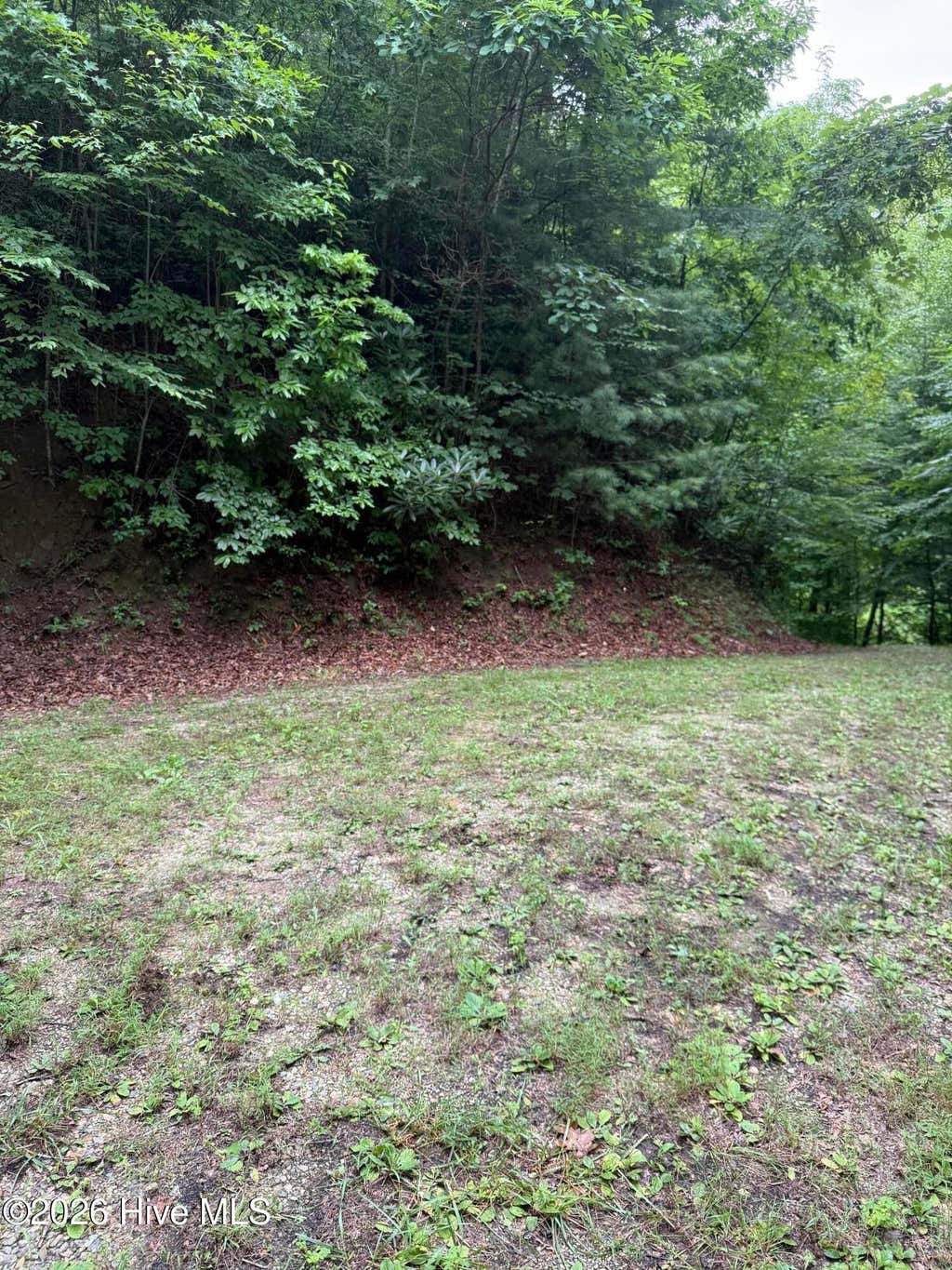 Photo of 4 Mountain Vista Lane, Topton, NC 28781 (MLS # 100593355)