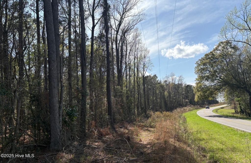 Photo of 0000 Beattys Bridge Road, Atkinson, NC 28421 (MLS # 100498997)