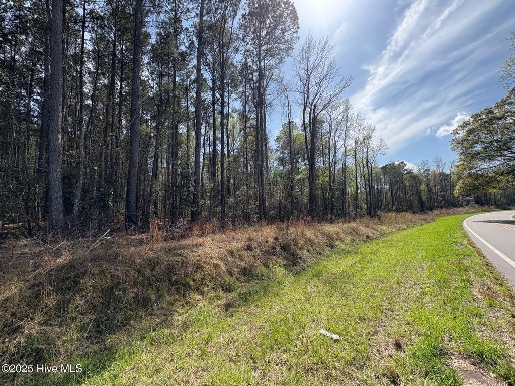 Photo of 0000 Beattys Bridge Road, Atkinson, NC 28421 (MLS # 100498997)