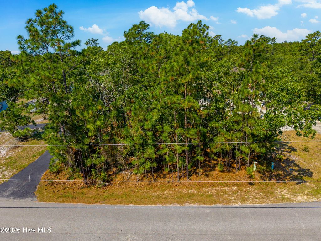 Photo of 11 President Road, Boiling Spring Lakes, NC 28461 (MLS # 100581726)