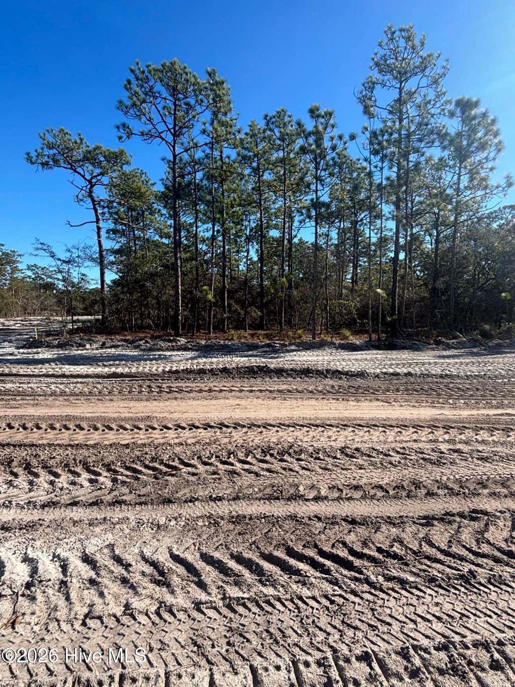 Photo of 69 Peninsula Parkway, Southport, NC 28461 (MLS # 100596454)