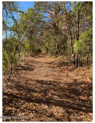 6511 CAROLINA BEACH RD, WILMINGTON, NC 28412 - Image 752d831b87cb9ee2b066c2cf77f7a435/2590113623