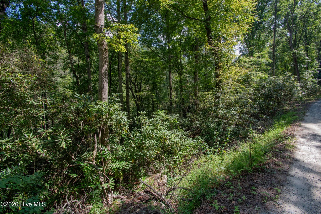 Photo of 8 Snowbird Woods Road, Robbinsville, NC 28771 (MLS # 100601943)