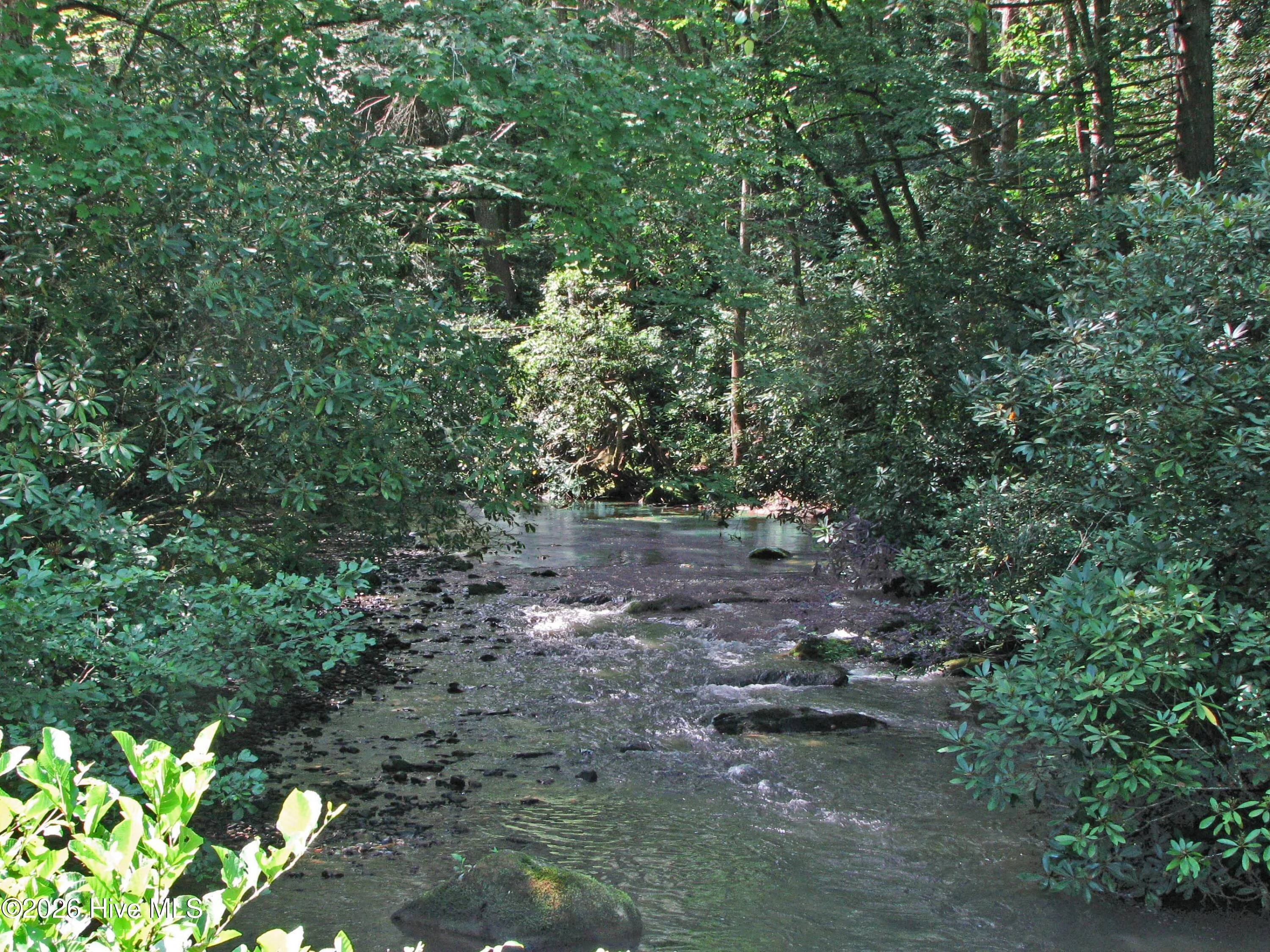 8 Snowbird Woods Road, Robbinsville, NC, 28771
