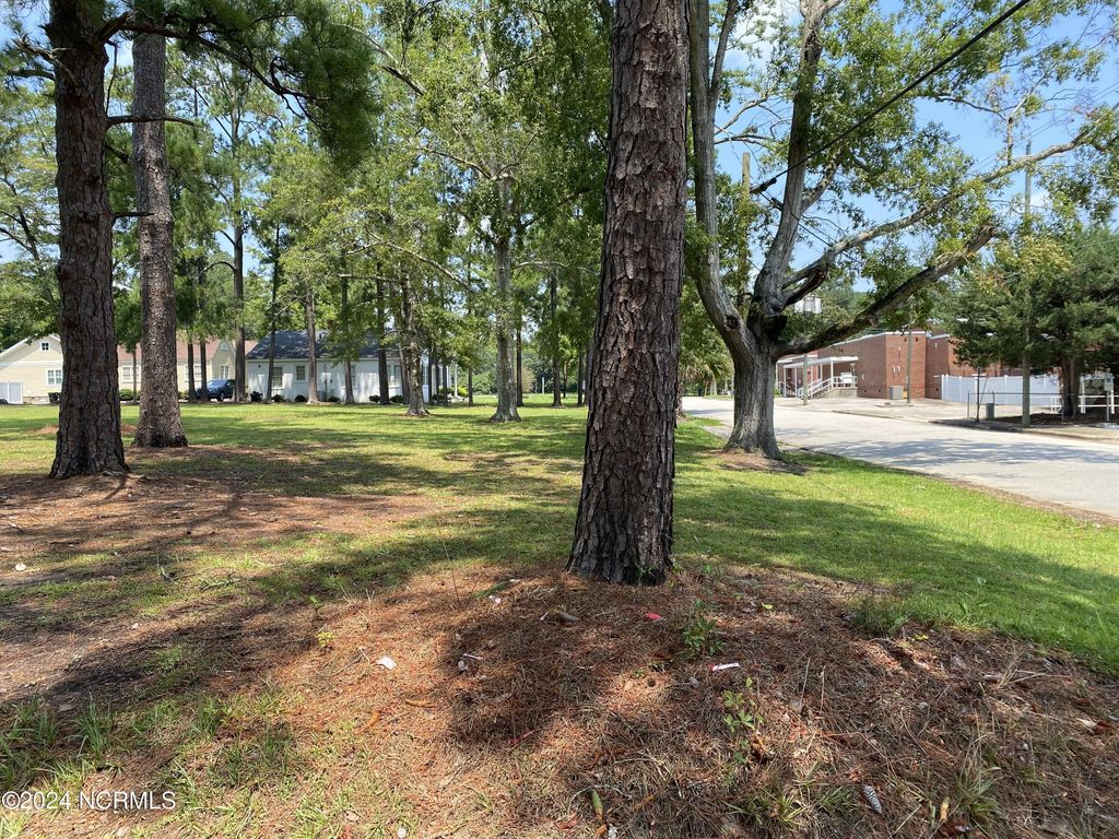 Photo of 705 N Near 711 N Thompson Street, Whiteville, NC 28472 (MLS # 100546570)
