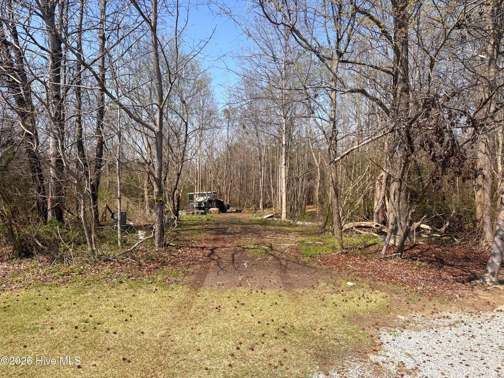 Photo of 00 Irvin Road, Murfreesboro, NC 27855 (MLS # 100560220)