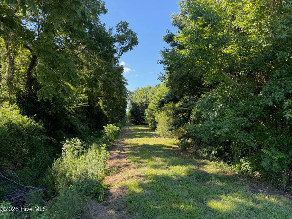 Photo of 2 Hopewell Road, Edenton, NC 27932 (MLS # 100588954)