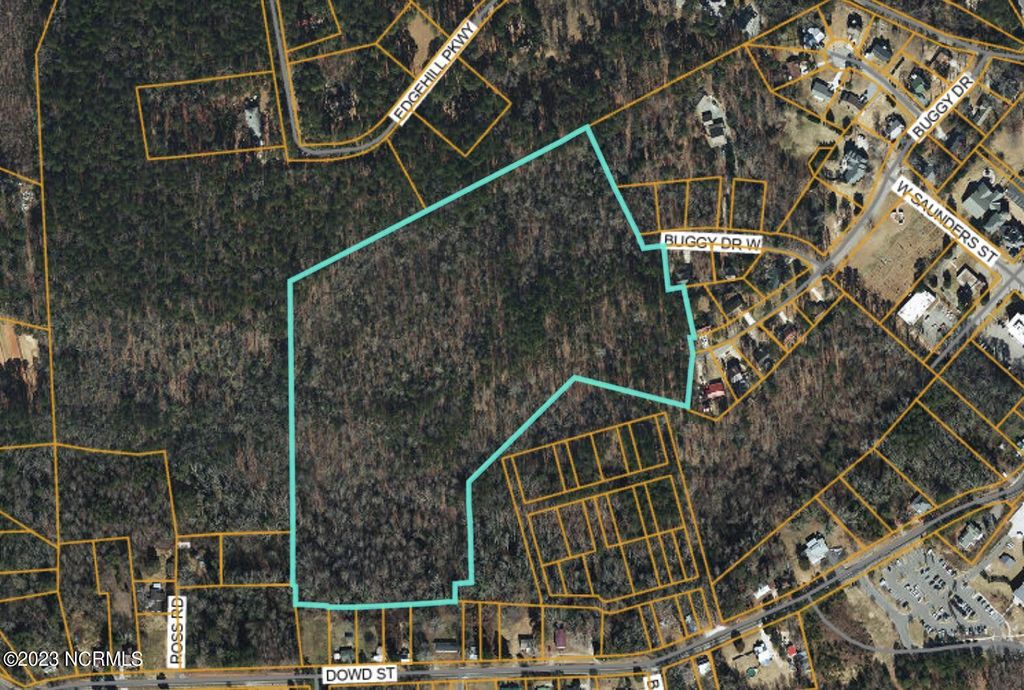 Photo of Tbd Buggy Drive W, Carthage, NC 28327 (MLS # 100572678)
