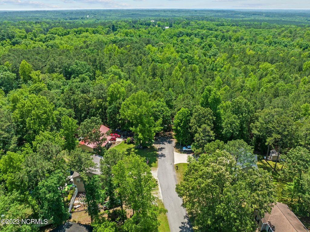 Photo of Tbd Buggy Drive W, Carthage, NC 28327 (MLS # 100572678)
