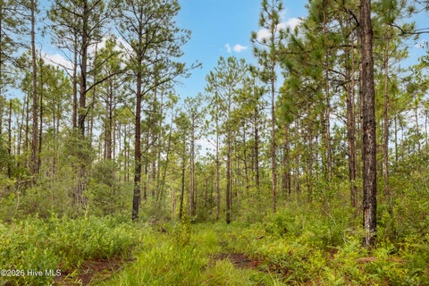 Tiny photo for 3 Hwy 17 Off, Hampstead, NC 28443 (MLS # 100574833)
