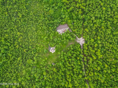 Photo of 3 Hwy 17 Off, Hampstead, NC 28443 (MLS # 100574833)