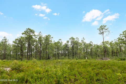 Tiny photo for 3 Hwy 17 Off, Hampstead, NC 28443 (MLS # 100574833)