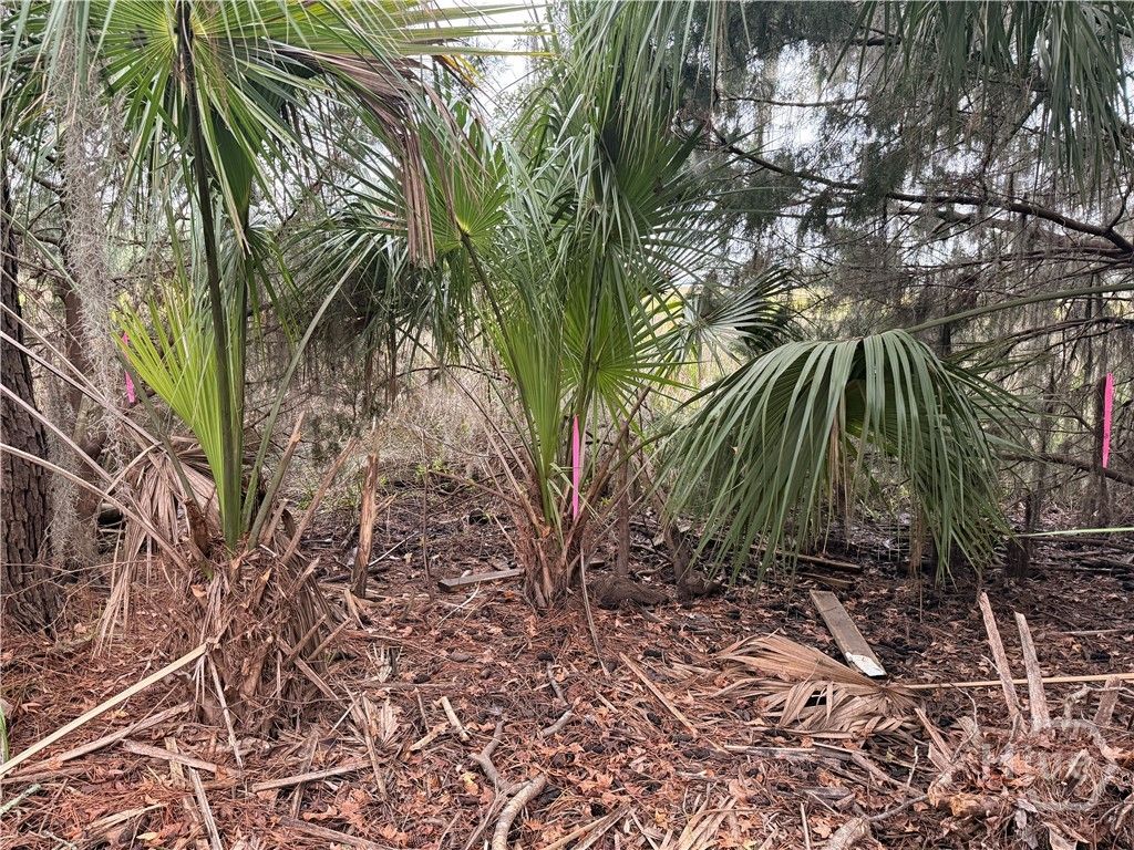 Photo of 209 Battery Way, Savannah, GA 31410 (MLS # SA353008)