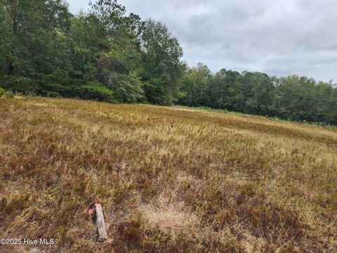 Tiny photo for 210 Hwy, Currie, NC 28435 (MLS # 100535115)