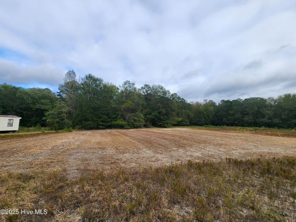 Photo of 210 Hwy, Currie, NC 28435 (MLS # 100535115)