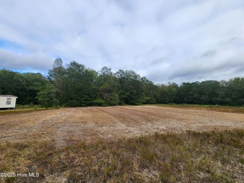 Photo of 210 Hwy, Currie, NC 28435 (MLS # 100535115)