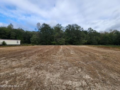 Tiny photo for 210 Hwy, Currie, NC 28435 (MLS # 100535115)