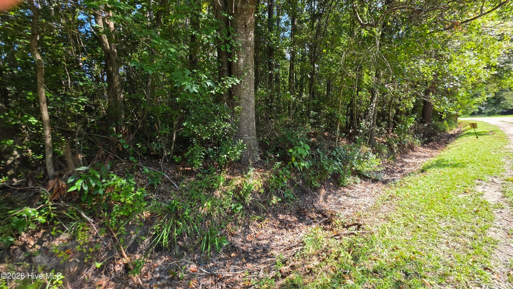 Photo of 74 Long Leaf Drive, Whiteville, NC 28472 (MLS # 100603467)