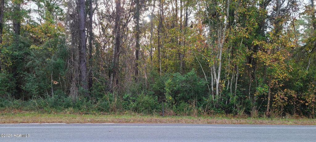 Photo of 3640 Sunset Harbor Road SE, Bolivia, NC 28422 (MLS # 100564319)