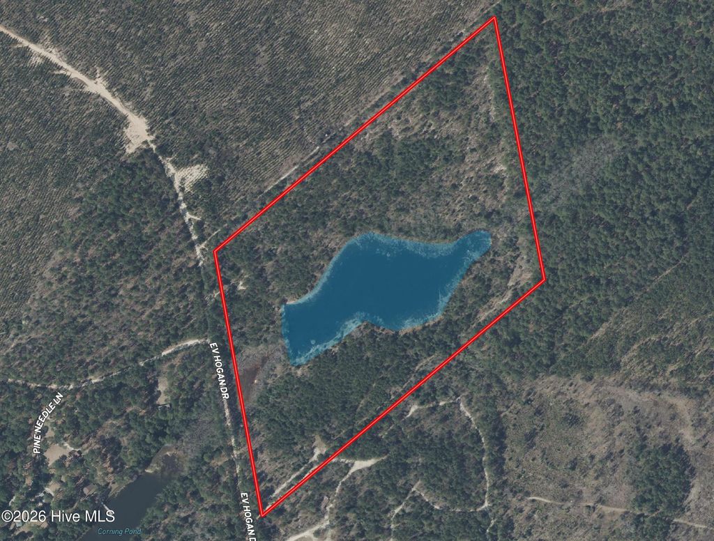 Photo of 0 E V Hogan Drive, Rockingham, NC 28379 (MLS # 100577322)