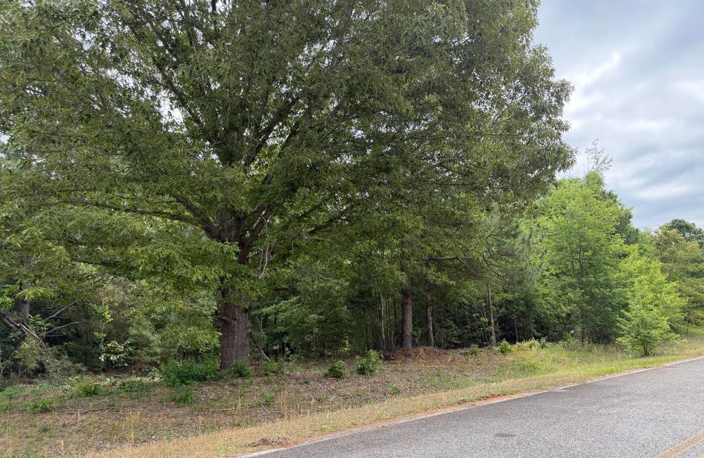 Photo of 0 Sylvan Grove Road, Stapleton, GA 30823 (MLS # 555110)