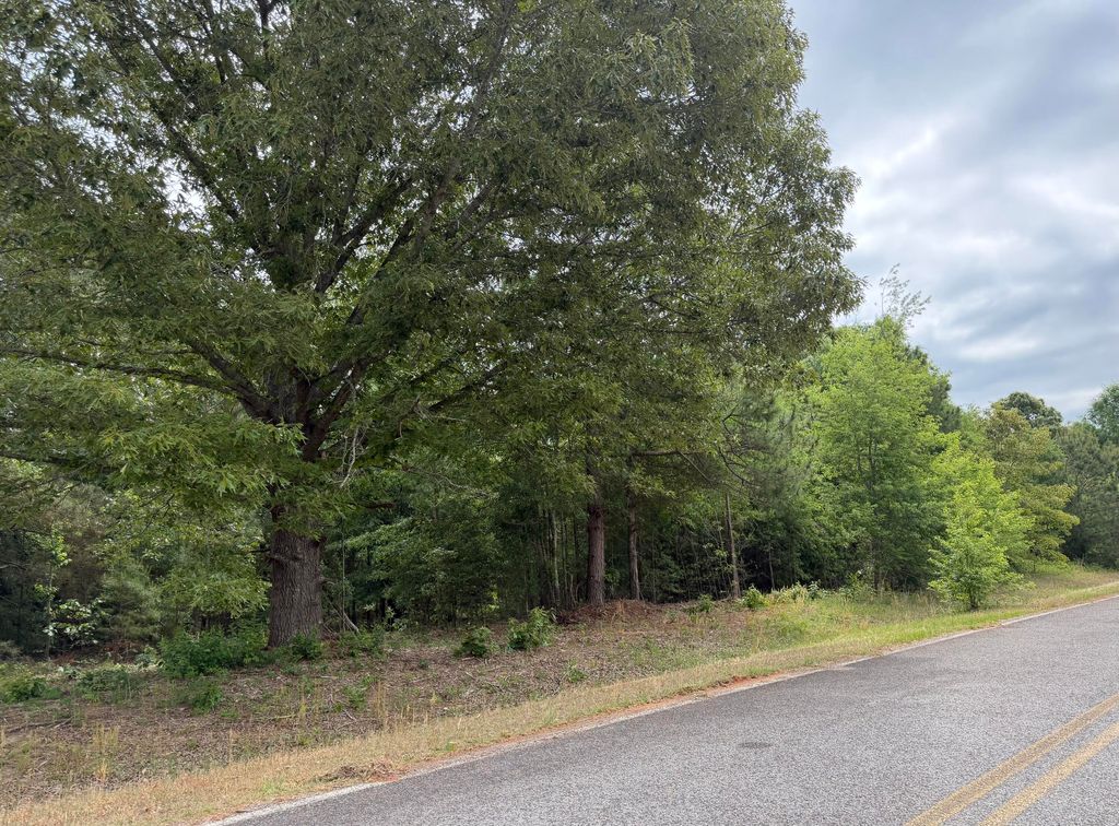 Photo of 0 Sylvan Grove Road, Stapleton, GA 30823 (MLS # 555110)