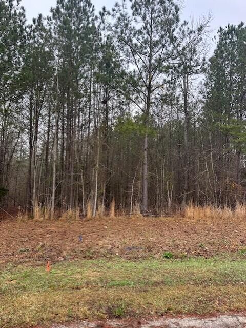 Vacant Land For Sale - 21 Long Cove Drive<br/> Lincoln County, Lincolnton, GA 30817