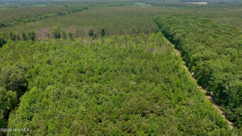 Vacant Land For Sale - Indian Woods Road<br/> Windsor, NC 27983