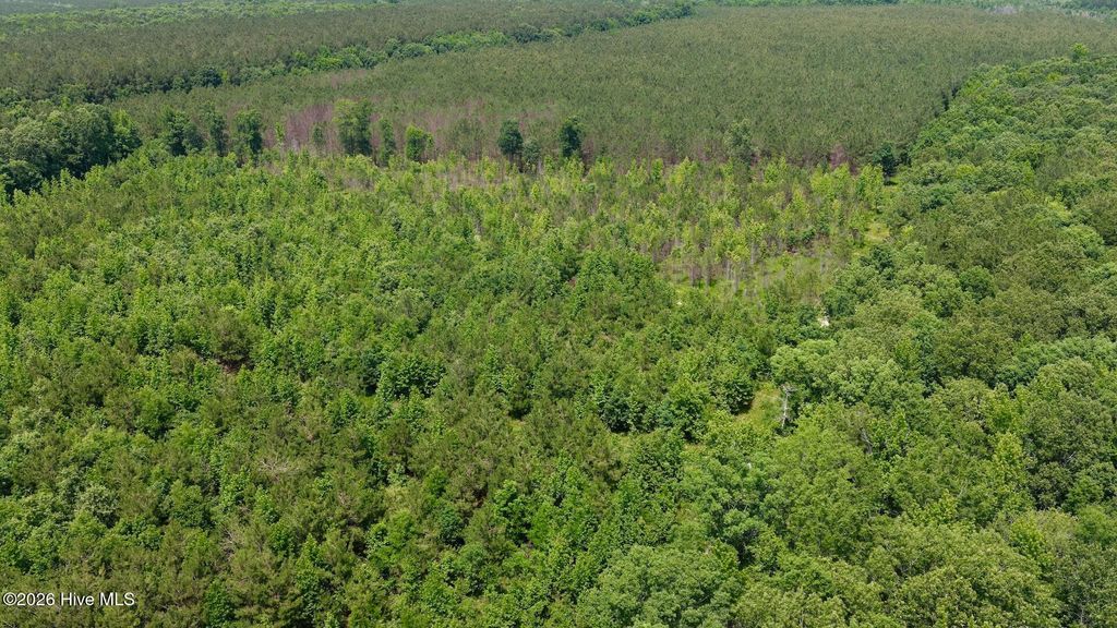 Photo of 0 Indian Woods Road, Windsor, NC 27983 (MLS # 100578550)