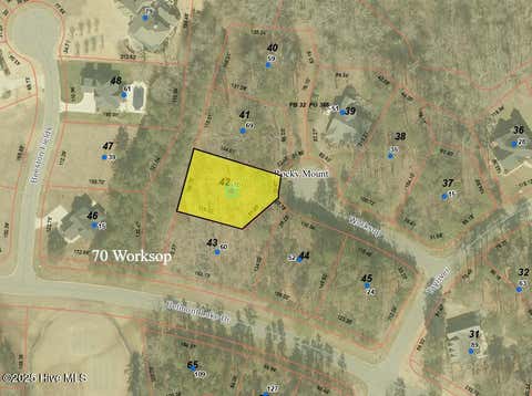 Vacant Land For Sale - 70 Worksop<br/> Rocky Mount, NC 27804