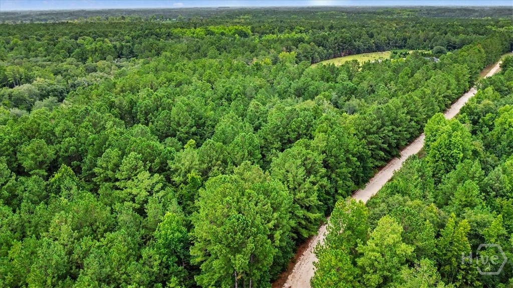 Photo of 00 Lawrence Church RD, Pembroke, GA 31321 (MLS # SA361633)