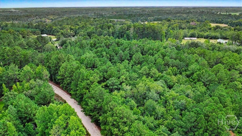 Photo of 00 Lawrence Church RD, Pembroke, GA 31321 (MLS # SA361633)