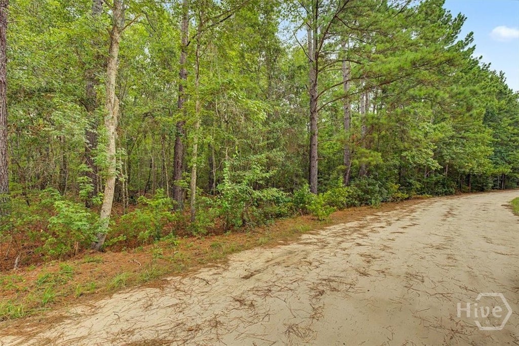 Photo of 00 Lawrence Church RD, Pembroke, GA 31321 (MLS # SA361633)