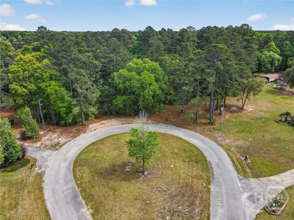 Photo of 0 Freeman Drive, Ellabell, GA 31308 (MLS # SA353536)