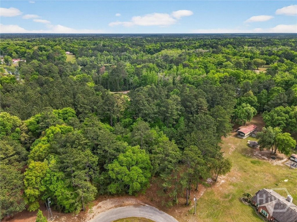 Photo of 0 Freeman Drive, Ellabell, GA 31308 (MLS # SA353536)