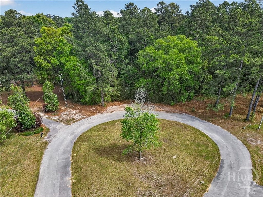 Photo of 0 Freeman Drive, Ellabell, GA 31308 (MLS # SA353536)
