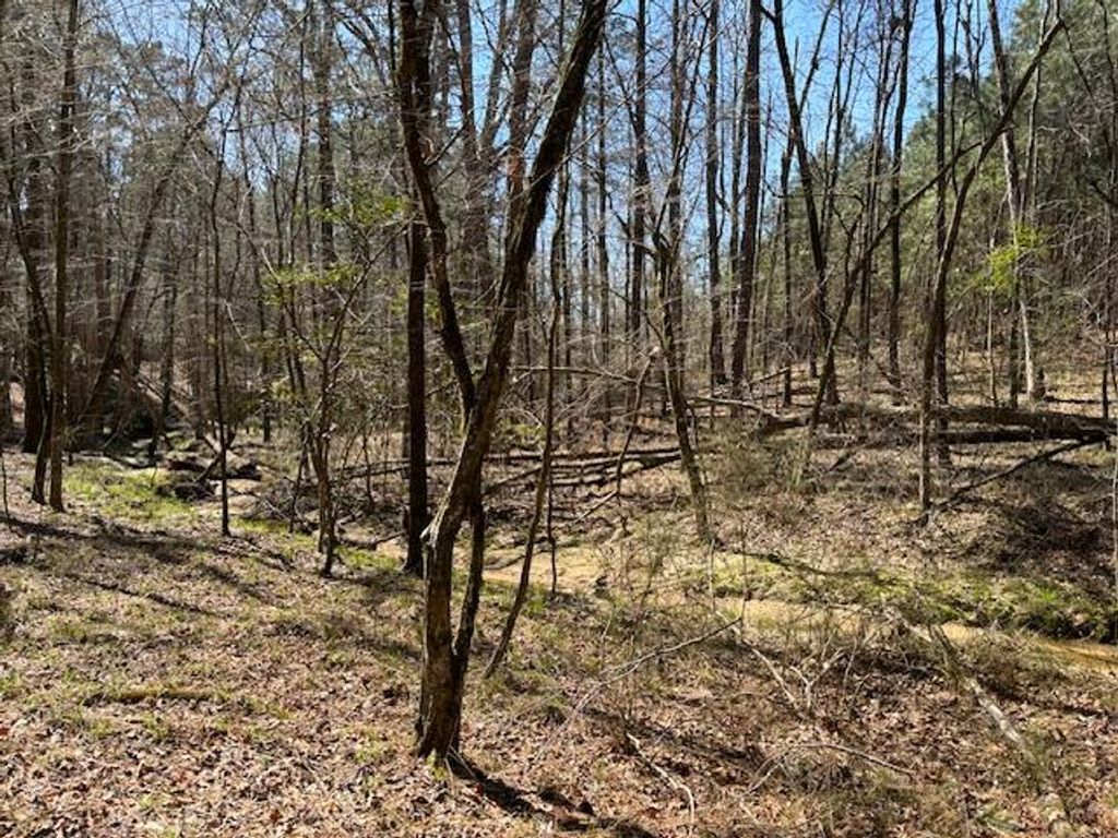 Photo of 0 Twin Pine Road, Thomson, GA 30824 (MLS # 553672)