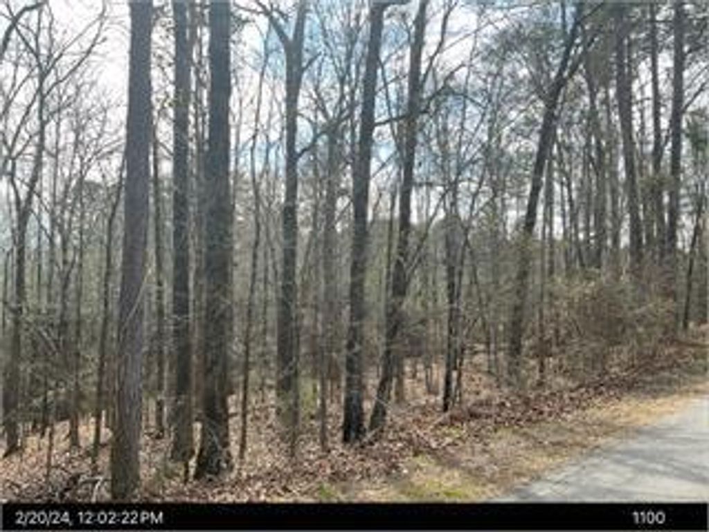 Photo of 0 Twin Pine Road, Thomson, GA 30824 (MLS # 553672)