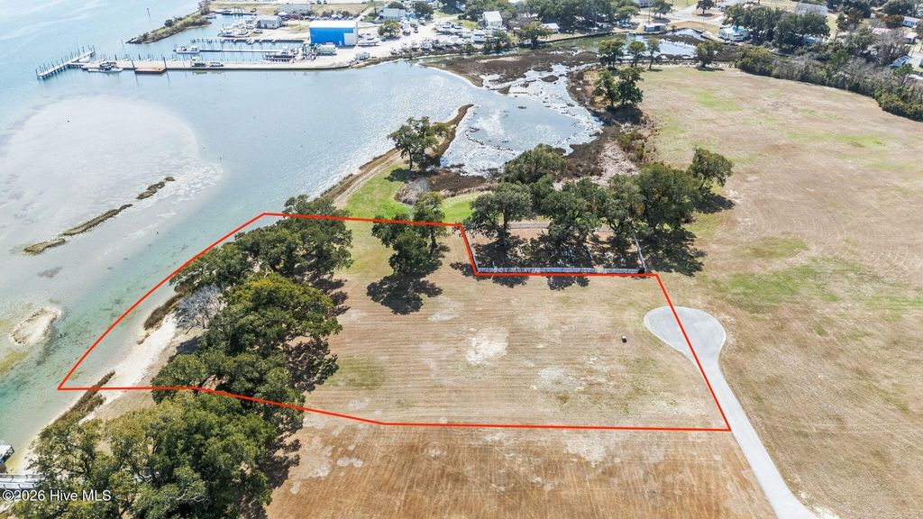 Photo of 175 Flamingo Lane, Sneads Ferry, NC 28460 (MLS # 100559816)