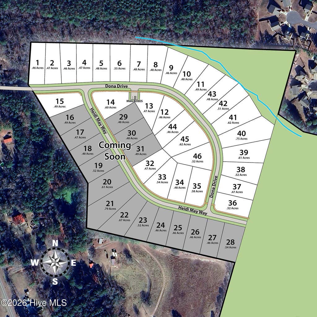 Photo of 35 Dona Drive, Carthage, NC 28327 (MLS # 100594299)