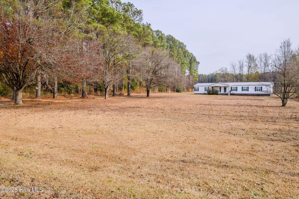 Photo of 174 Doc Brown Road, Rose Hill, NC 28458 (MLS # 100546417)