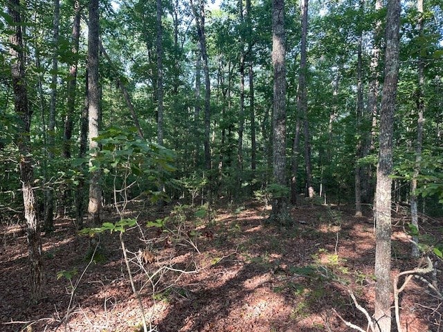 Lot 208 28 Boulder Creek Road - Photo 2